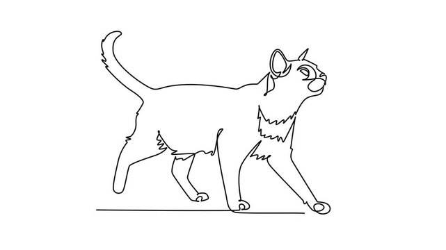 Animated self drawing of continuous line draw pet cat walking gracefully forward with raised tail. Feline elegance, playful domestic mammal behavior, and gentle beauty. Full length one line animation