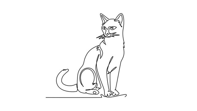 Animated self drawing of continuous line draw cat sitting upright calmly, showcasing its pointed ears, whiskers, alert feline posture, domestic mammal poise, gentle pet. Full length one line animation
