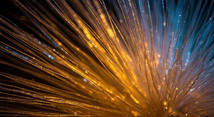 Obraz premium Vibrant Orange and Blue Light Trails.