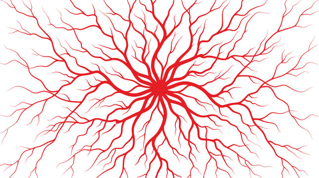 Red biological veins branching out from center in organic pattern illustrated on pure white background for medical science visual projects