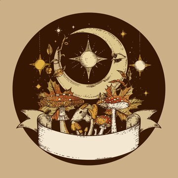 Whimsical hand-drawn illustration of a crescent moon, stars, mushrooms, and a rabbit in a mystical autumn night scene with a banner.