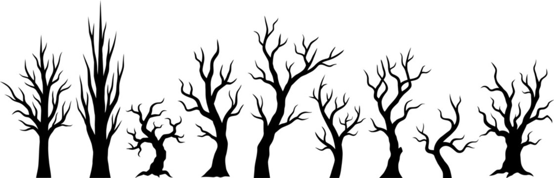 Dead trees silhouette set with bare branches and spooky forest elements