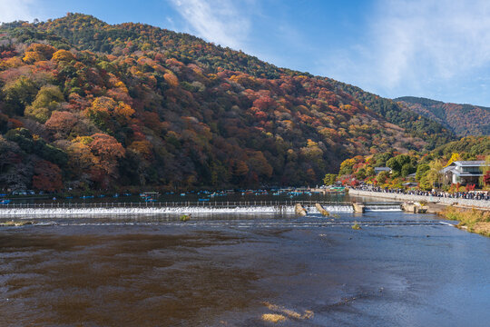 Beautiful landscape of Katsura River at Arashiyama with foliage autumn and blue sky in Kyoto, Japan