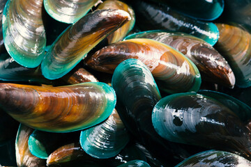 Mussel prepared as food. Green Mussel. © Sirapob