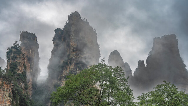 Misty mountain landscape. The high steep cliffs are shrouded in fog, the peaks are covered with clouds. Green trees in the foreground. China. Golden Whip Brook. Wulingyuan National Park.