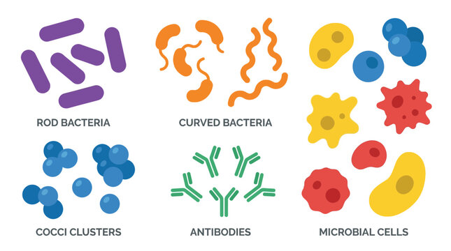 Educational illustration showing various types of bacteria and microbial cells with antibodies.