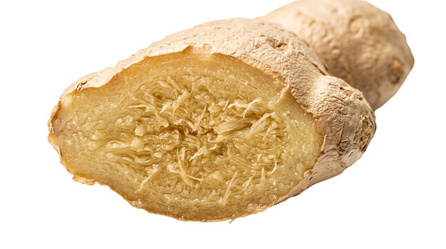 Fresh ginger root cut in half, fibrous yellow ginger flesh texture, organic spicy root vegetable isolated on white, healthy cooking ingredient