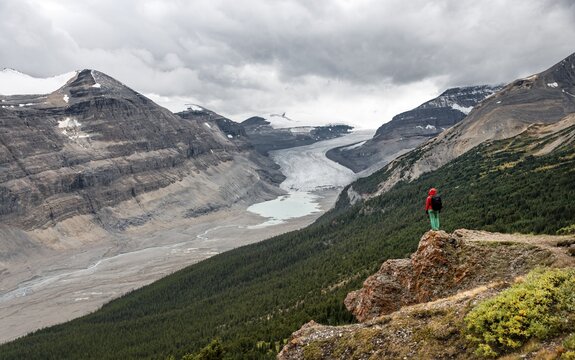 Hiker standing on a rock, view in valley with glacier tongue, Parker Ridge, Saskatchewan Glacier, Athabasca Glacier, Jasper National Park National Park, Canadian Rocky Mountains, Alberta, Canada