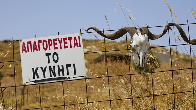 Skull with horns on a fence next to a warning sign with Greek text against arid landscape, Amari Basin, Amari, Central Crete, Greek Islands, Greece