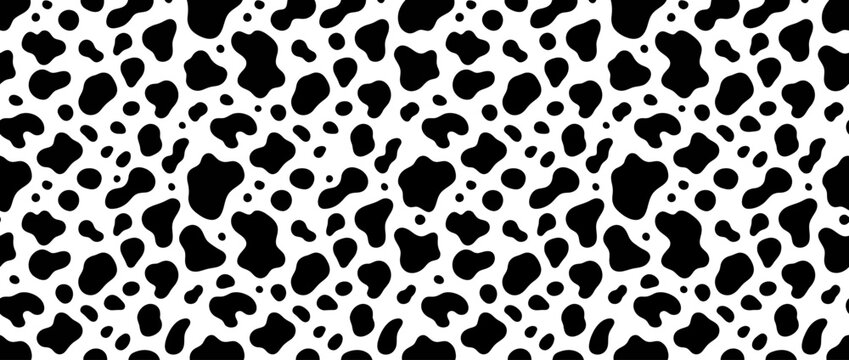 Seamless cow print pattern with black and white organic animal spots, abstract surface design