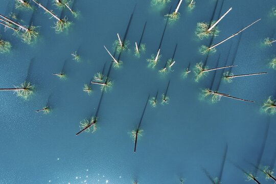 Aerial of the Kaindy lake with its dead trees, Kolsay Lakes National Park, Tian Shan mountains, Kazakhstan