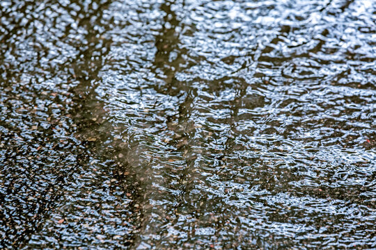 water surface of puddle with heavy raindrops. closeup view.
