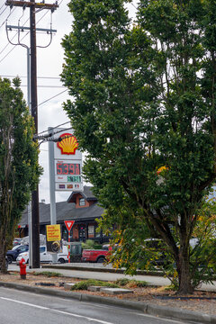 A tall Shell station sign and fuel canopy peek from behind a roadside maple, with a red pickup and passing traffic on the road below.