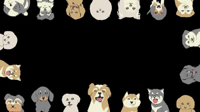 さまざまな犬種のかわいい犬たちが画面の上下左右から顔を出したり引っ込めたりする背景透過の4Kループフレームアニメーション