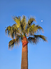 Clear blue sky with wispy clouds drifting gently y Cadiz, Spain © josevgluis