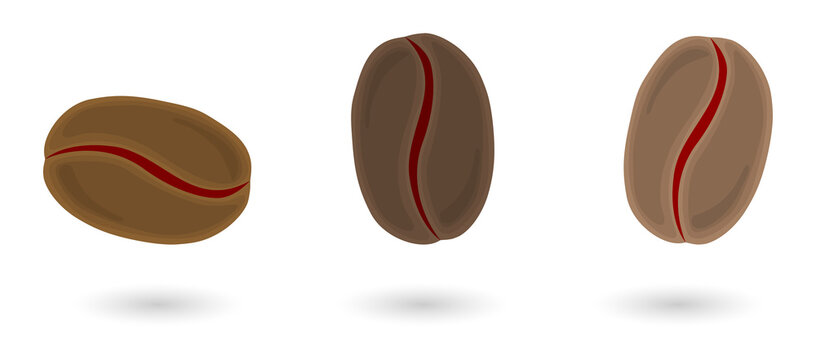 Three coffee beans on transparent background