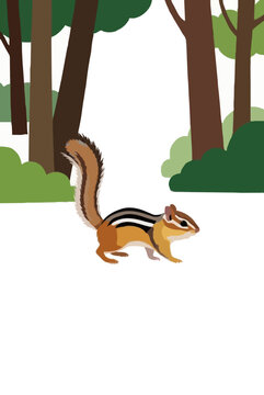 striped chipmunk with bushy tail walking along a forest clearing flat vector illustration on a white background