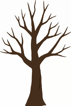 Tall leafless deciduous tree with bare brown branches and trunk, flat vector illustration on a white background