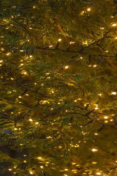 Guirlandes de No&euml;l 
