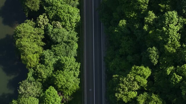 Top Down Drone Shot of Freeway Road in Landscape of Serbia, Ovcar Kablar Gorge and West Morava River