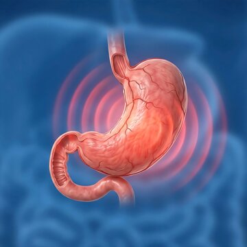 stomach experiencing severe functional dyspepsia. The stomach appears normal in structure but has subtle, pulsing red waves emanating from its core, symbolizing internal discomfort, bloating, and pain