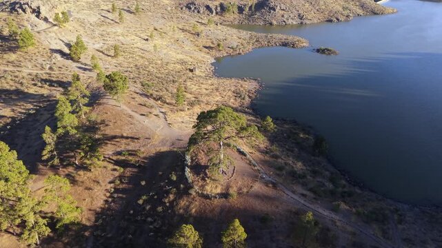 Aerial drone shot orbiting Casandra's tree on the shore of The girls' dam reservoir in Tejeda, Gran Canaria, at golden hour sunset