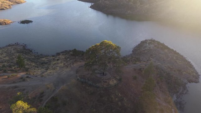 Breathtaking aerial footage flying over Las Ninas dam and Casandra's tree in Tejeda, Gran Canaria, with morning fog clearing at sunrise