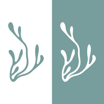 Seaweed logo design template illustration vector