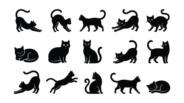 black cats icon set in various poses and expressions
