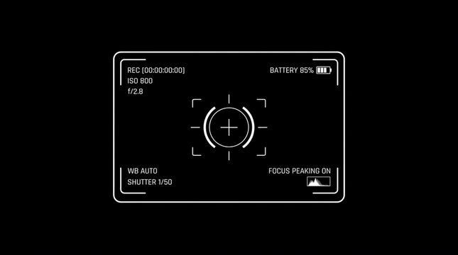 Digital camera viewfinder interface overlay with focus point and exposure settings