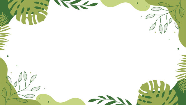 Fresh green tropical monstera leaf frame background presentation on organic shapes