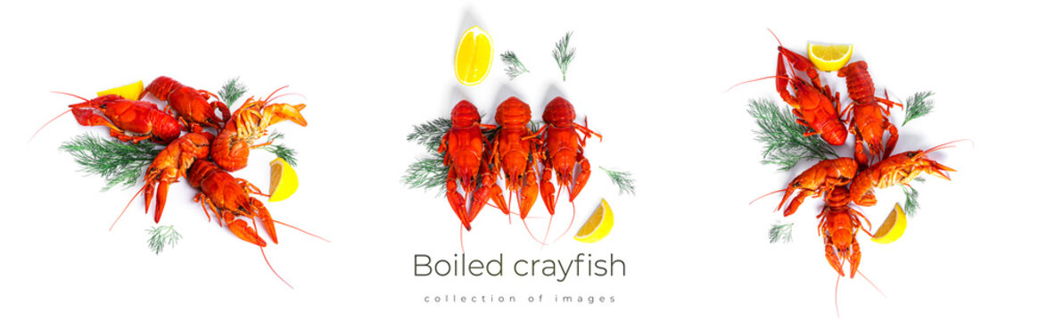 Boiled crayfish with dill and lemon on black plate isolated on a white background. High quality photo
