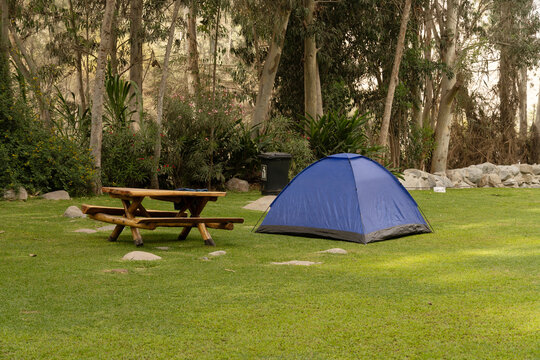 Blue Camping Tent Pitched on a Lush Green Lawn in a Peaceful Forest Campground