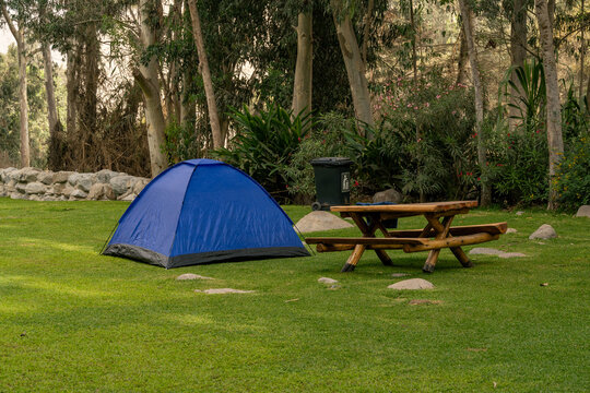 Blue Camping Tent Pitched on a Lush Green Lawn in a Peaceful Forest Campground