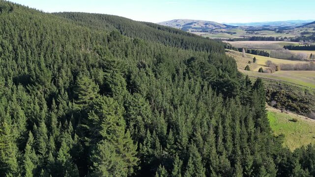 Scenic landscapes of New Zealand reveal beautiful forests majestic mountains and dramatic ranges across a tranquil Pacific Ocean island destination for tourism and travel