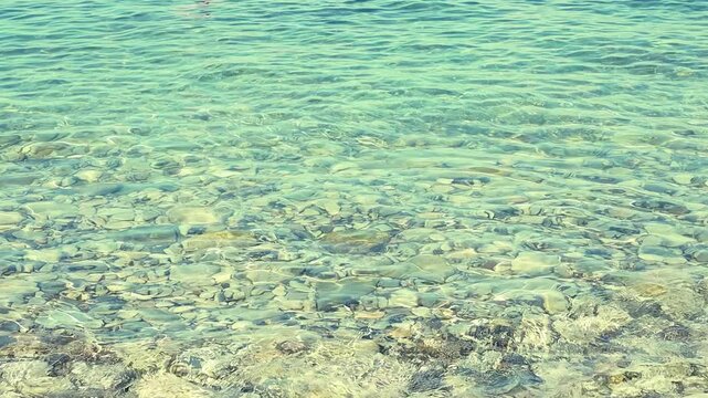 Turquoise water flows softly around a smooth stone, highlighting the peaceful interaction between land and sea in a coastal environment