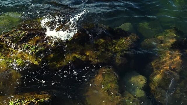Underwater scene displays rocky seabed with green algae and clear water, as waves create ripples and movement over the stones in a coastal setting