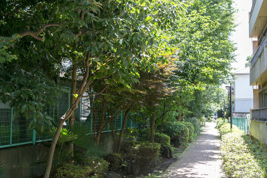 井草川遊歩道（東京都杉並区上井草3-14）