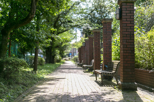 井草川遊歩道・道灌橋公園（東京都杉並区上井草3-14）