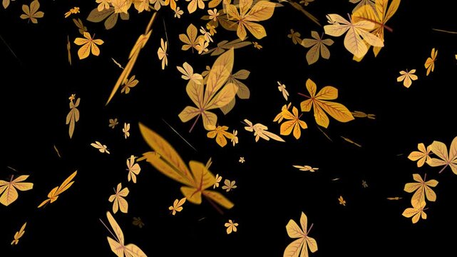Falling autumn leaves on a transparent background. Leaves drifting as they fall in the wind.