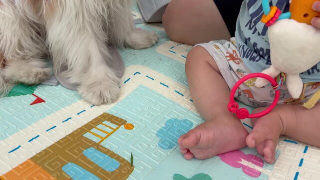 A cute baby sits on a colorful play mat next to the family dog and a toys. Babies and pets