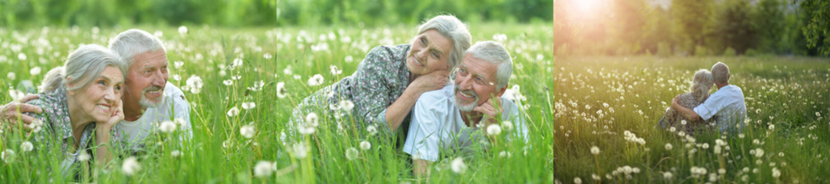 Happy Senior Couple Relaxing in a Spring Meadow of Dandelions