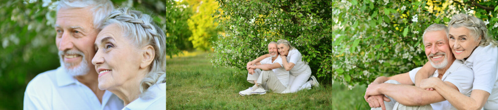 Happy senior couple relaxing in a green park