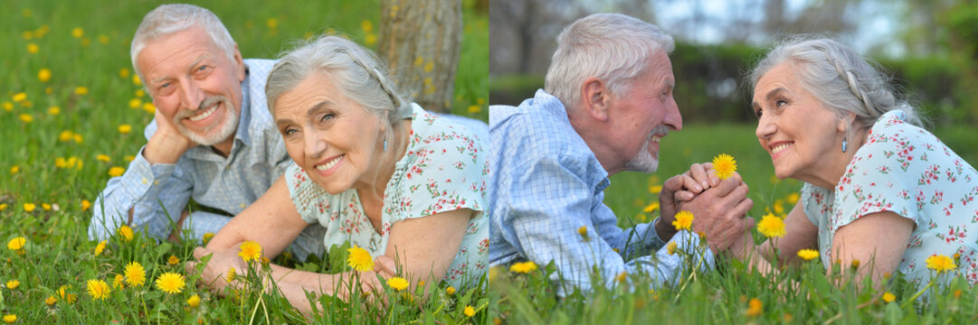 Happy senior couple and friends relaxing in spring meadow with dandelions