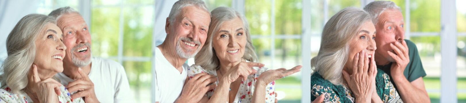 Happy senior couple and friends smiling indoors