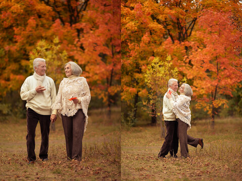 Happy Senior Couple Walking and Holding Hands in Autumn Park
