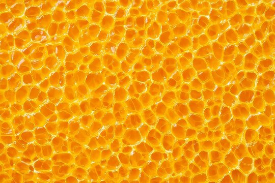 Close-up view of honeycomb filled with golden honey showing its hexagonal structure and texture