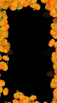 autumn pumpkins border frame isolated alpha channel 4k animation,pumpkin thanksgiving and Halloween celebration video stream overlay vertical social media motion design element