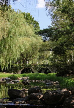 korea garden in summer