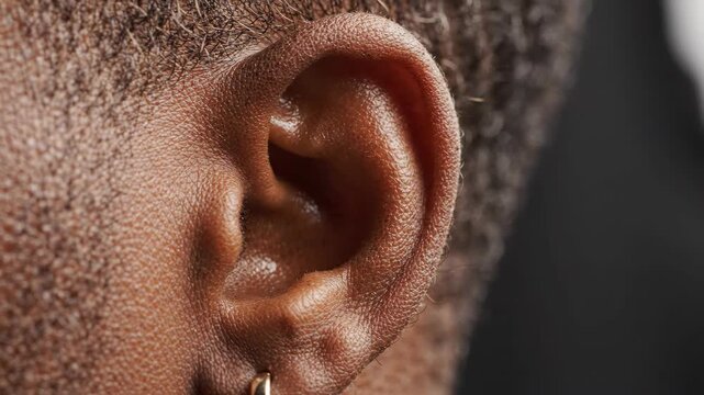 Close-up of an African American person's ear with a gold hoop earring.